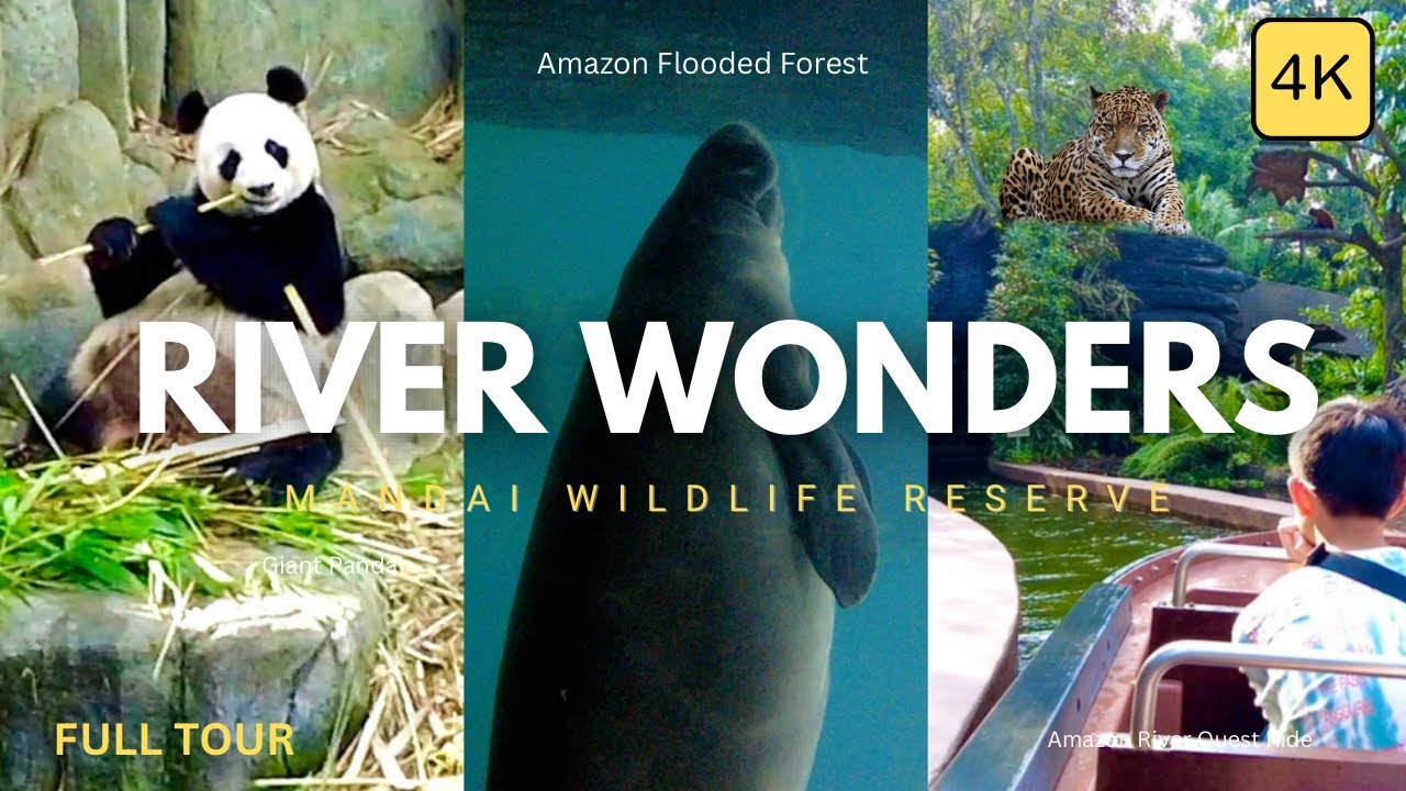 RIVER WONDERS! Asia’s Only River Themed Wildlife Park Zoo Tour in Singapore 4K | Mandai 