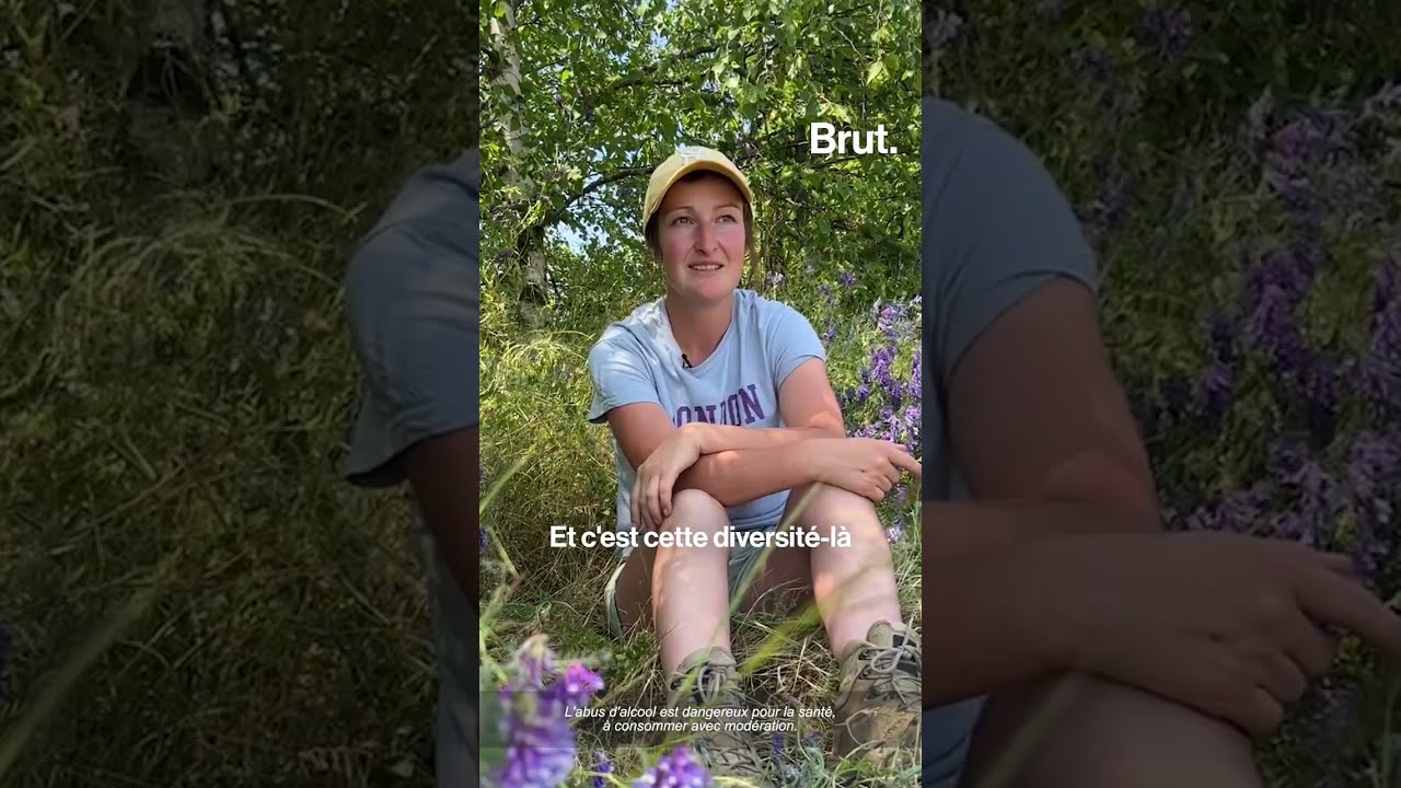 La Transmission dans le Beaujolais avec Anaïs Pertuizet