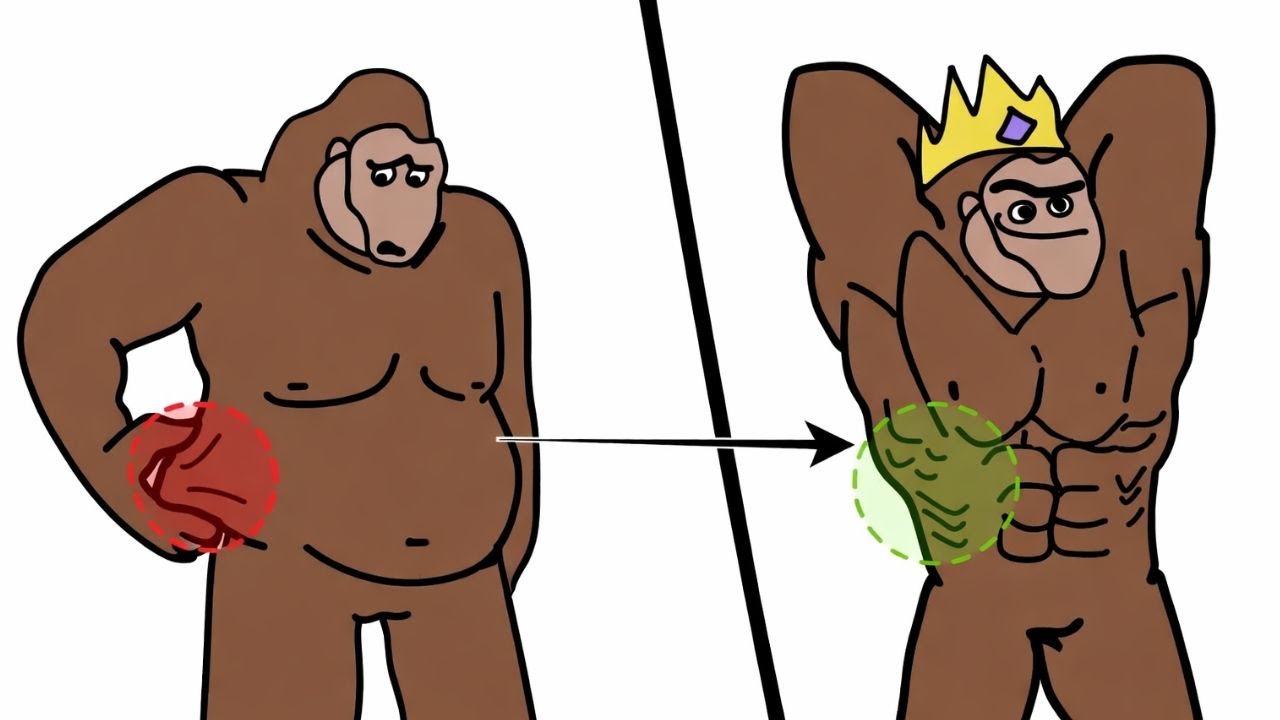 10 Trucos Para PERDER GRASA Rápidamente Explicado Por un Mono