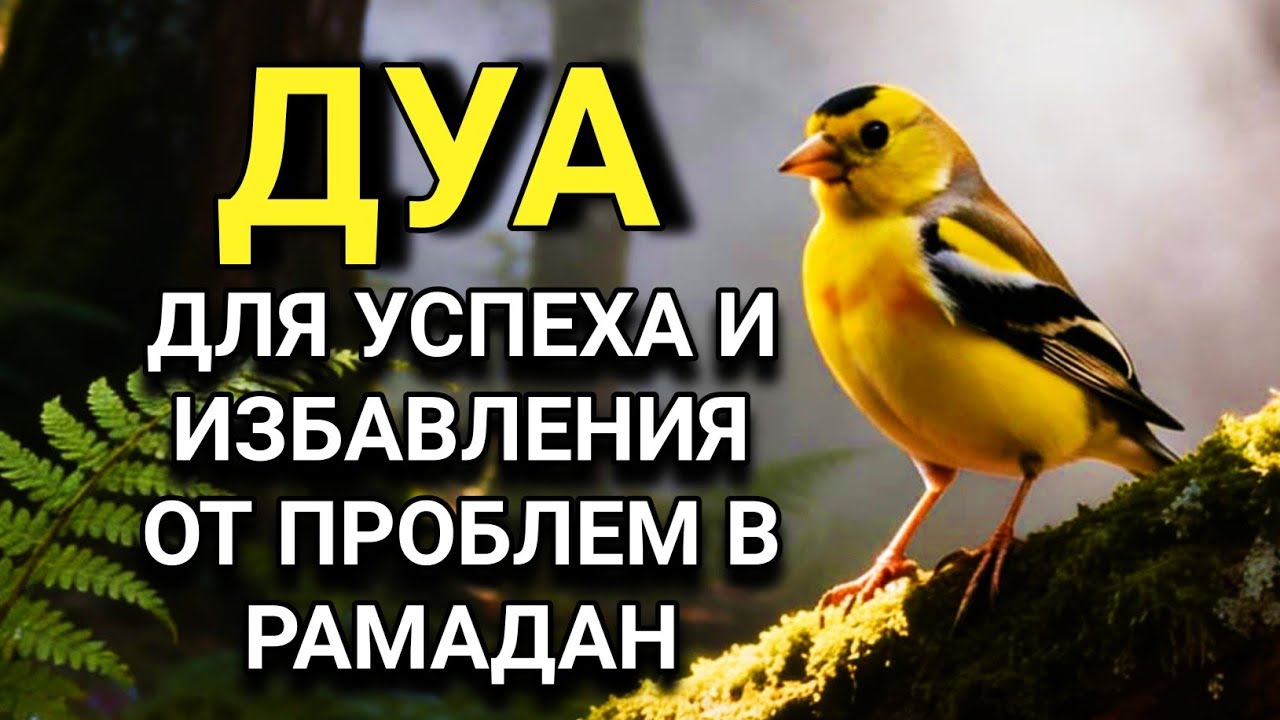 🔑💞 ДУА, КОТОРОЕ ЧИТАЛ ПРОРОК МУХАММАД В ЛЯЙЛЯТУЛЬ-КАДР 🤲✨💯