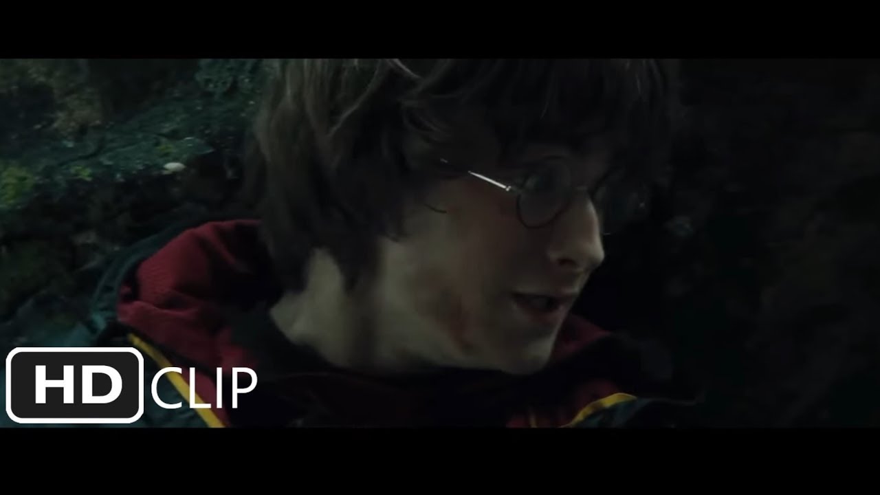 The First Task (Part 2) | Harry Potter and the Goblet of Fire