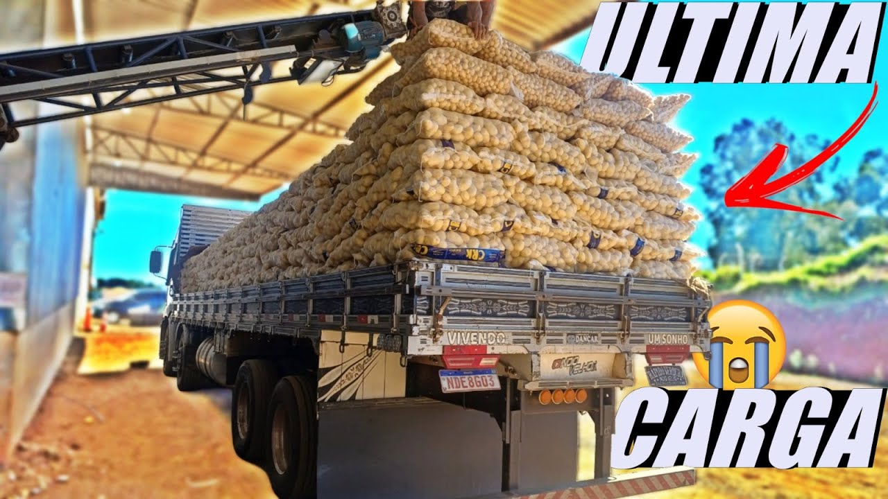 CARREGANDO BATATA EM GUARAPUAVA 🥔