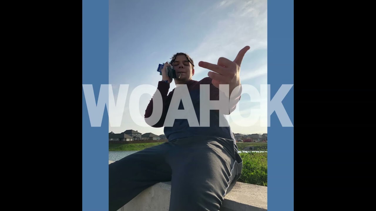 WOAHCK - space age cake (REUPLOAD)