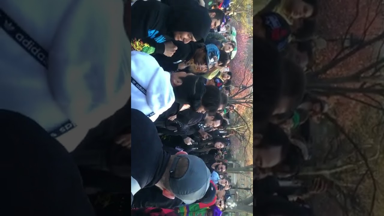 NYC/4-20 weed fest in the park