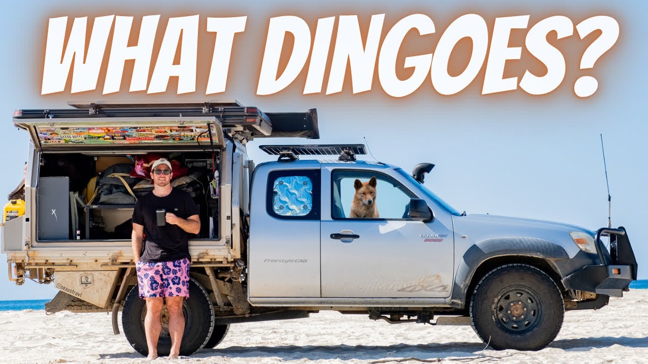 TIPS FOR K'GARI (FRASER ISLAND) We TRY to make it through INSKIP POINT!