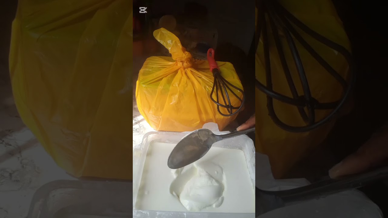 Detailed Greek Youghurt recipe for the family 