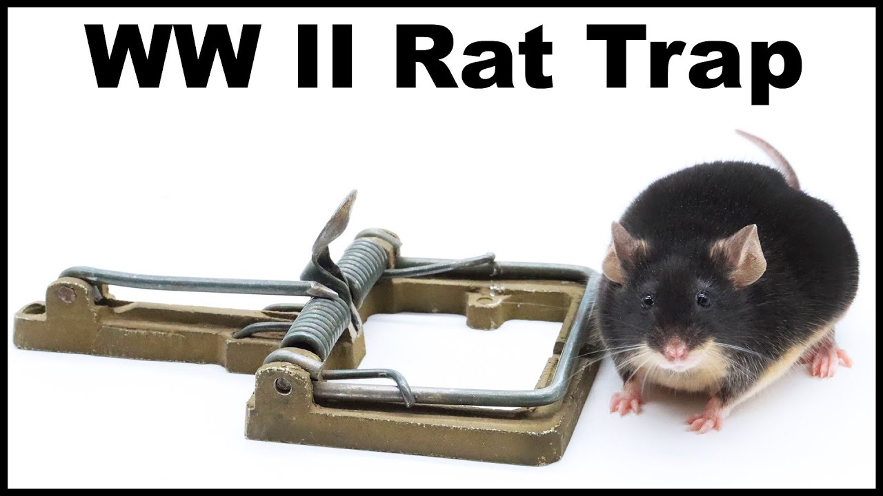 A Powerful WWII Rat Trap - Don't Smash Your Fingers. Mousetrap Monday