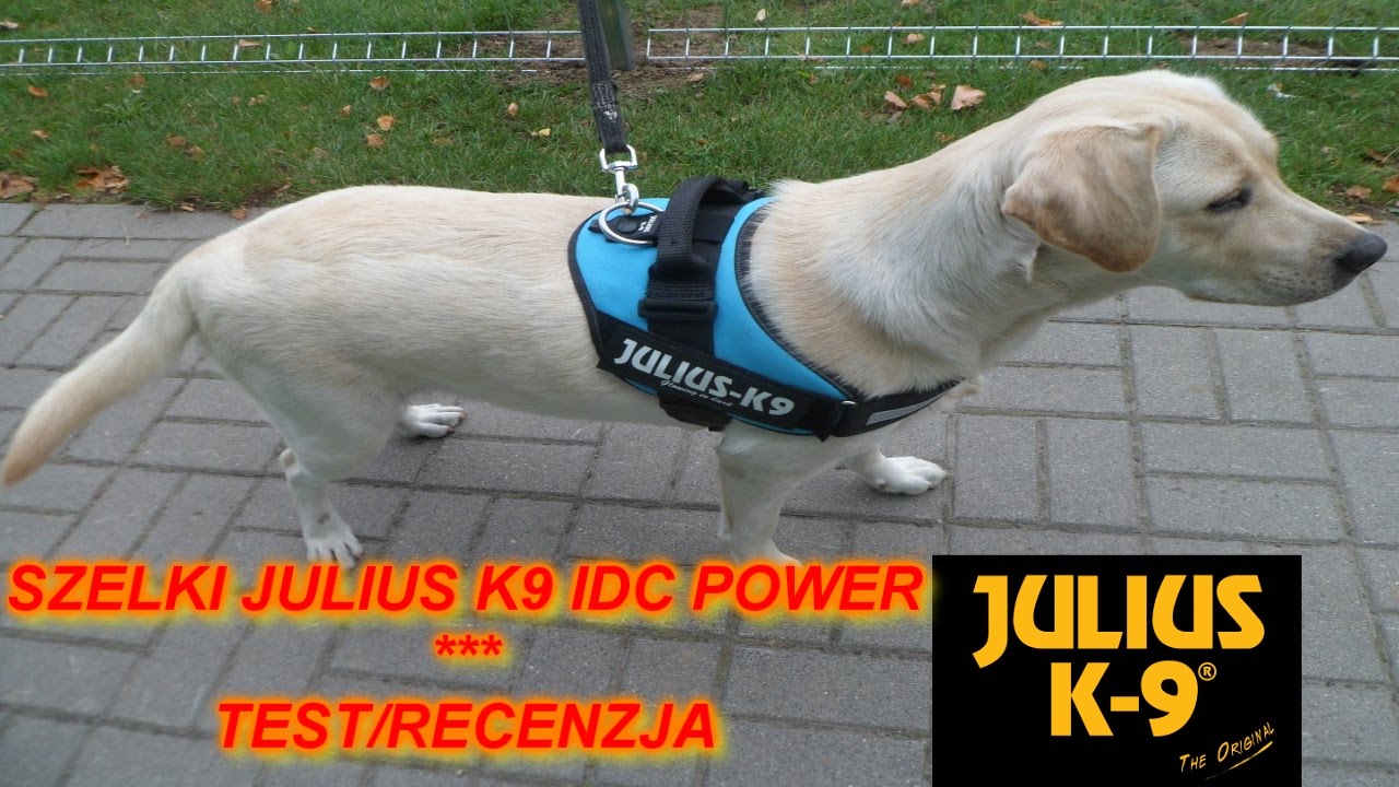 Julius K9 IDC Power   szelki