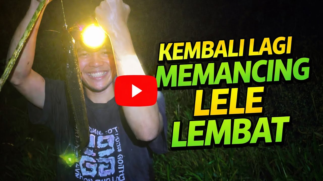 KEMBALI MEMANCING LELE LEMBAT DI SPOT SPOT YANG TELAH LAMA DI ABAIKAN!!!