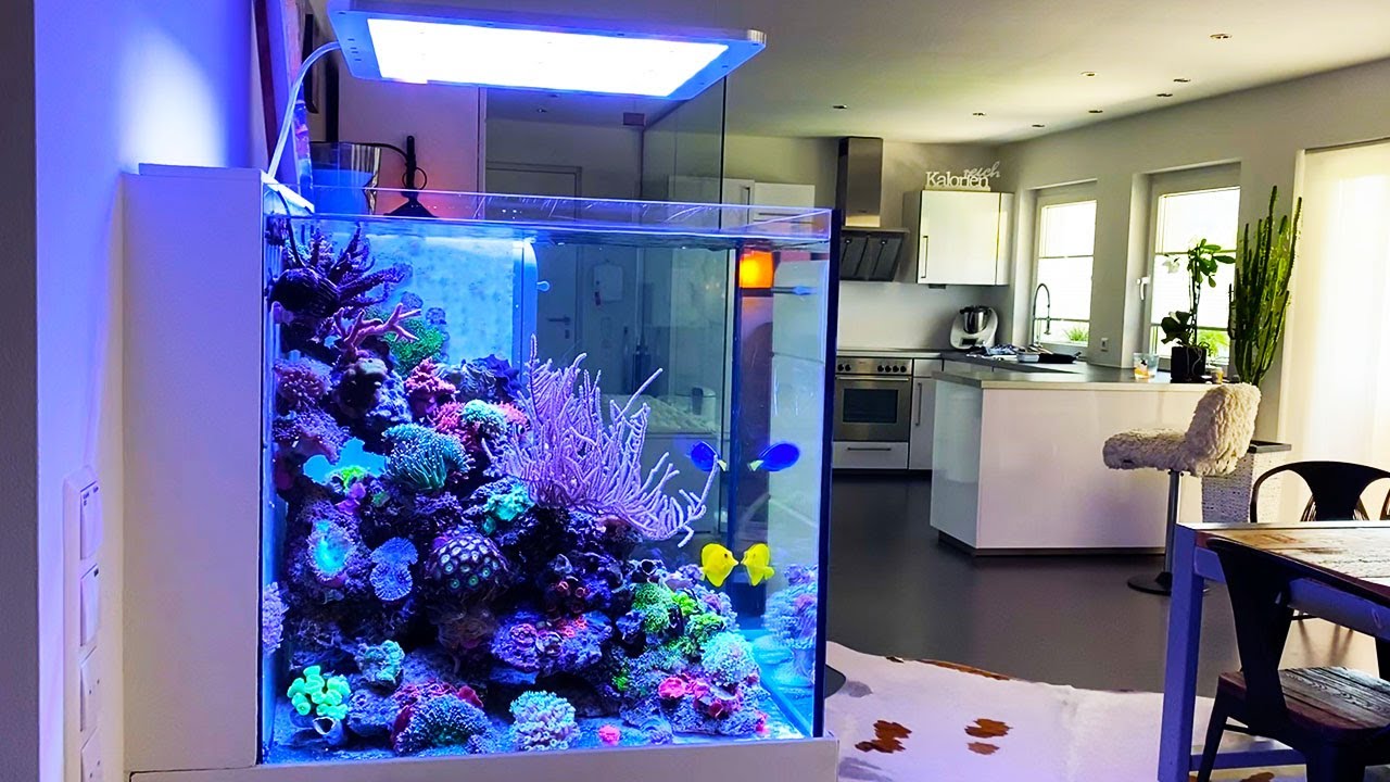 НЕМЕЦКИЕ РИФОВЫЕ АКВАРИУМЫ - "SILENT REEF" - дизайнерский морской аквариум с новым светодиодом AT...