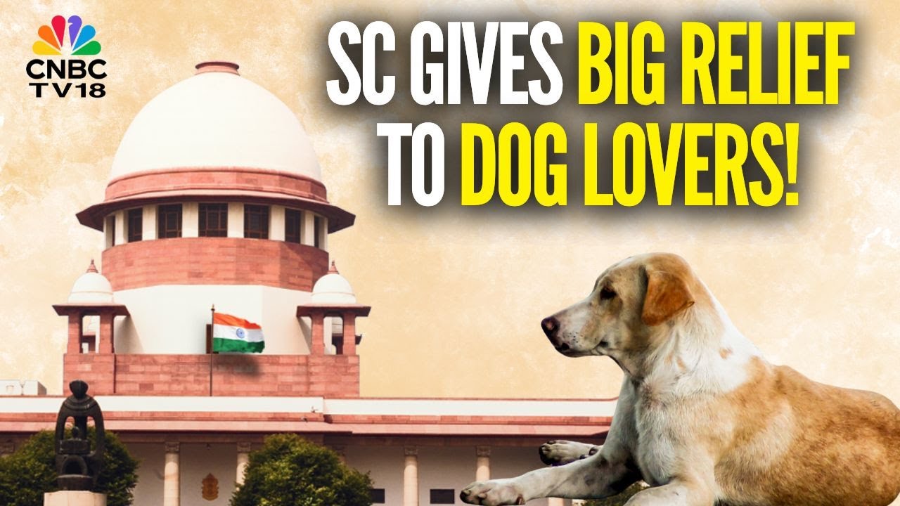 Supreme Court Modifies Stray Dog Order, Allows Release From Shelters After Vaccination | N18V