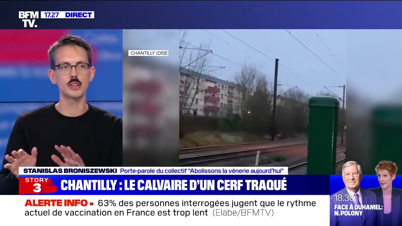 Un cerf traqué jusqu'en gare de Chantilly par la chasse à courre !