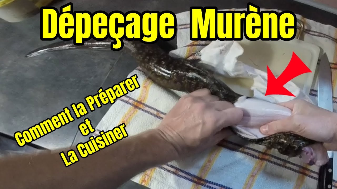 TUTO : Dépeçage de la Murène , la préparer et la cuisiner.
