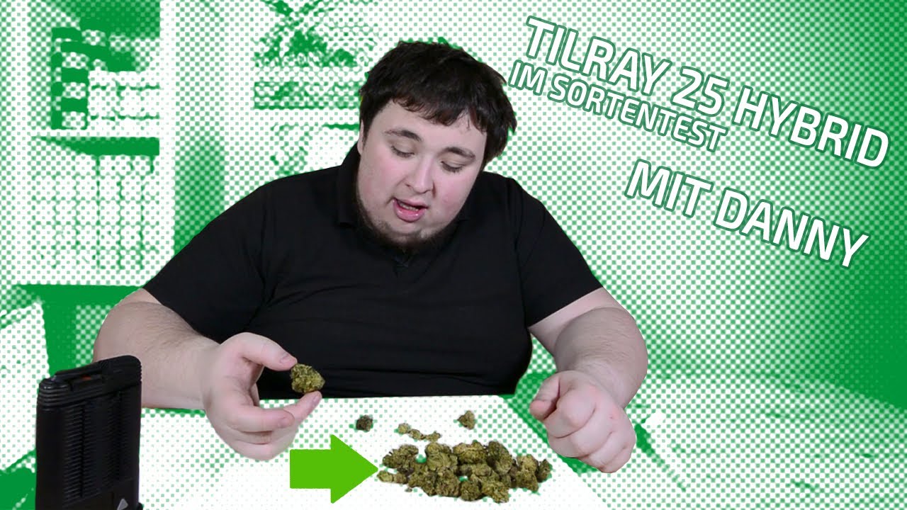 Sortentest ─ Tilray 25 - Hybrid ─ Perfekt f&uuml;r den Alltag?