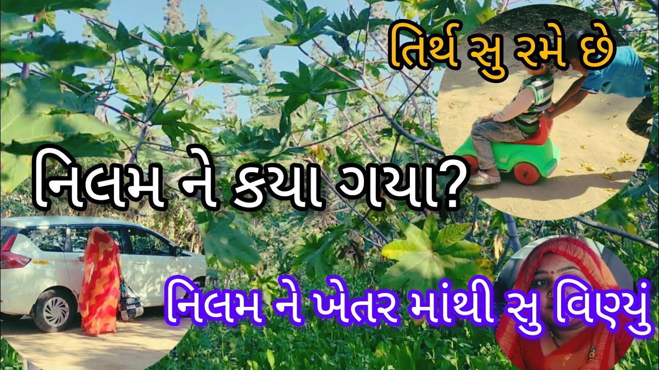 નિલમ ને કયા ગયા 😨 | તિર્થ સુ રમે છે 😃| નિલમ ને ખેતર માંથી સુ વિન્યું 🙂 || Nilam Vlogs 