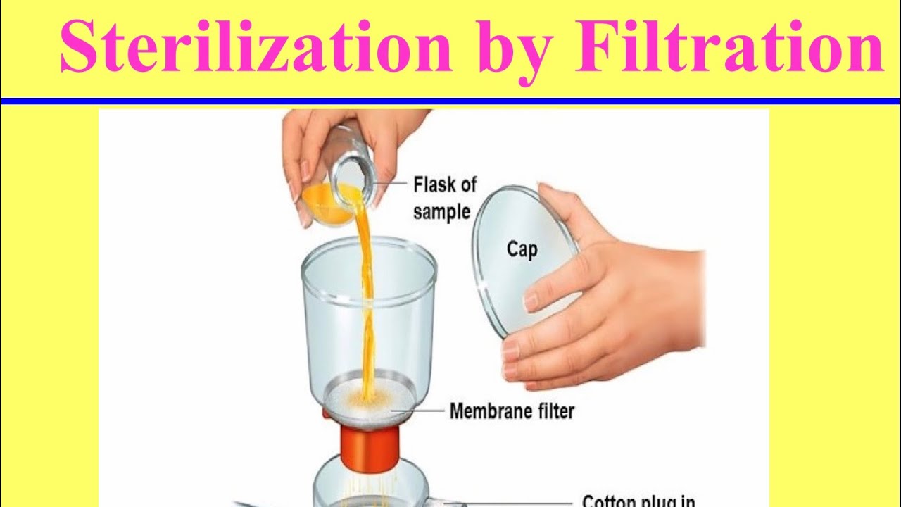 بكتيريا عملى (التعقيم) Practical Bacteriology (Sterilization)