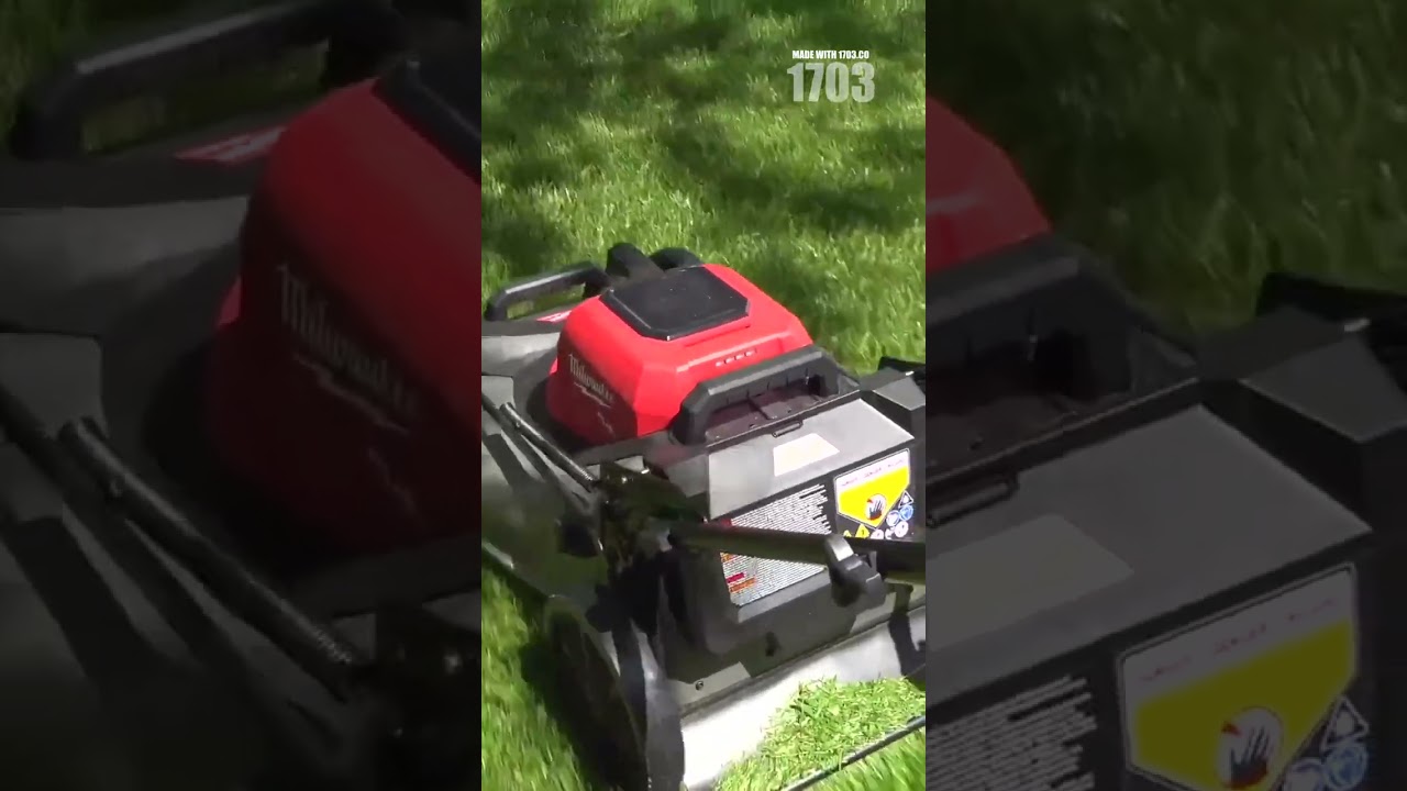 Pro Lawn Care Tips: Achieve a Perfectly Manicured Lawn!