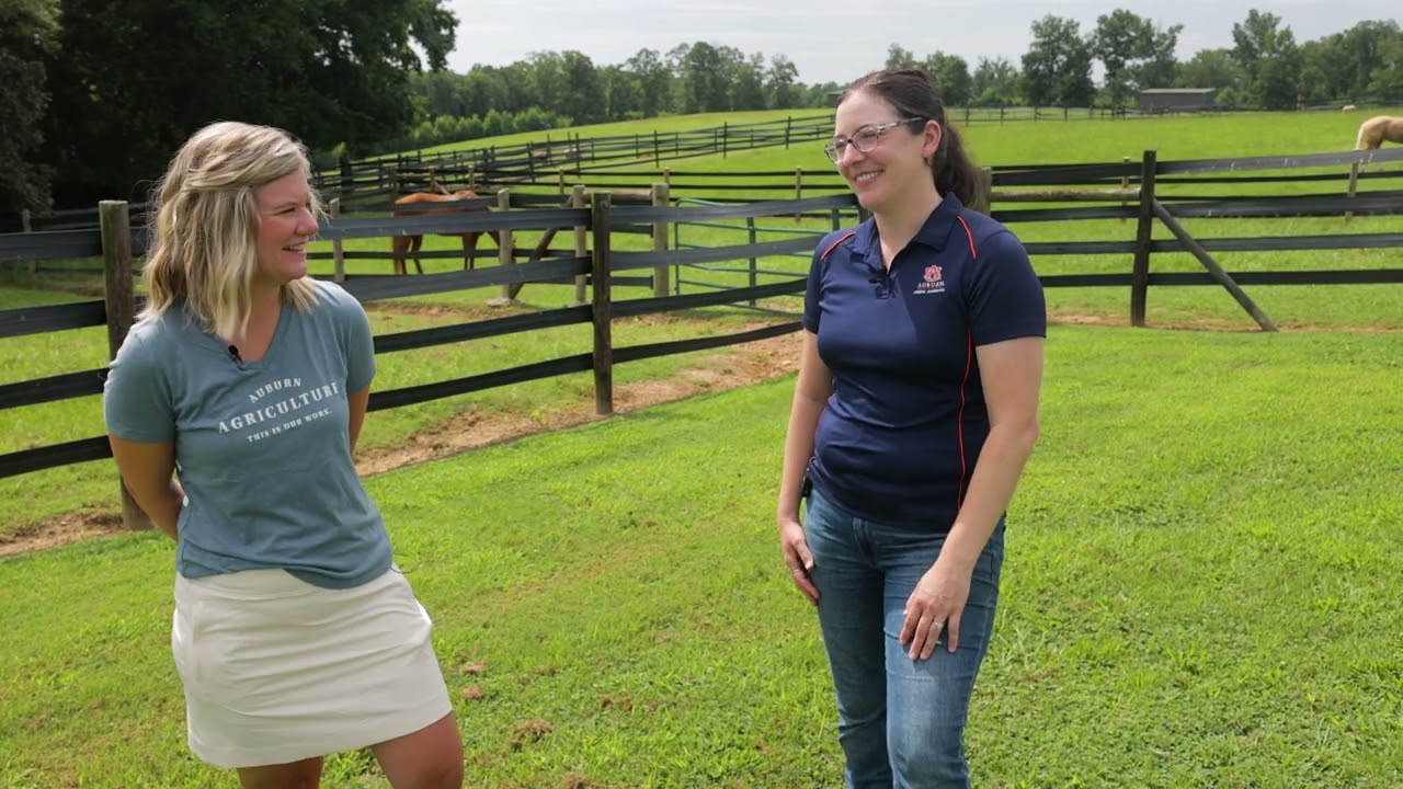 Our Work Seminar - Equine Science