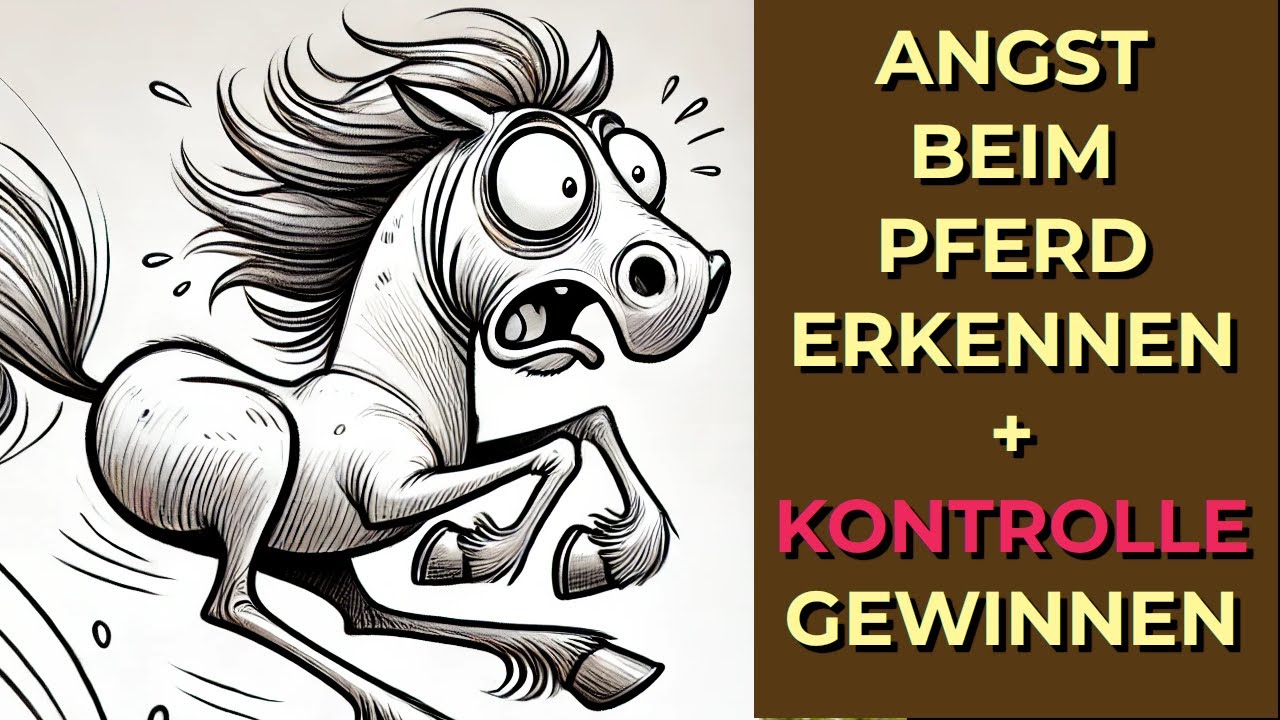 Wie du die Kontrolle über dein Pferd zurückgewinnst