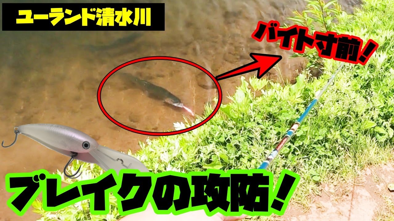 【ユーランド清水川】ハンクルシャッドF.tuneでブレイクを攻める！【エリアミノーイング】