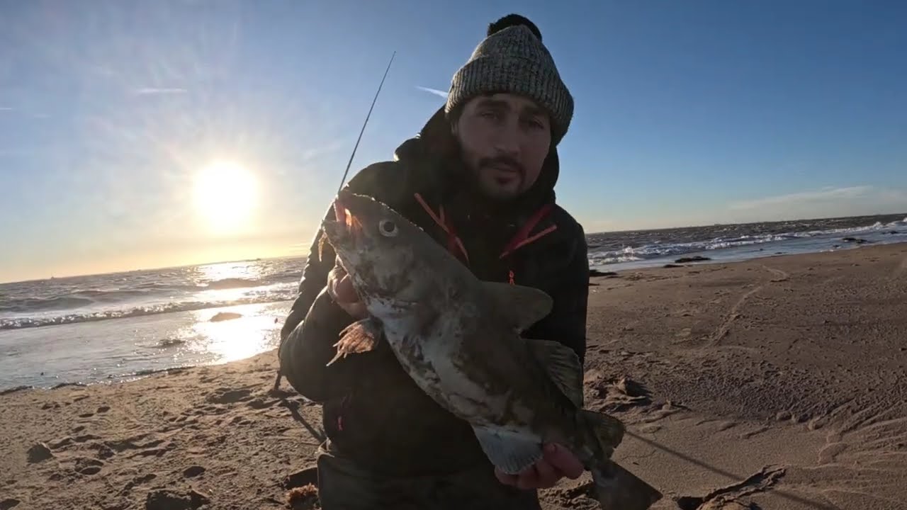 A match win in cold weather - Codling - Haddock - Whiting - Tronix Pro -