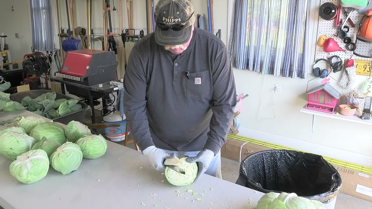 Making Sauerkraut in Eastern Lancaster County