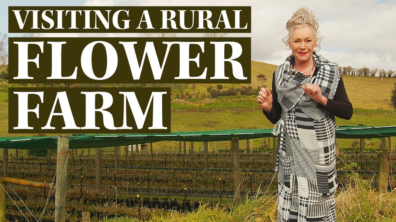 Visiting a FLOWER FARM in rural New Zealand... to see how flowers are grown for market!
