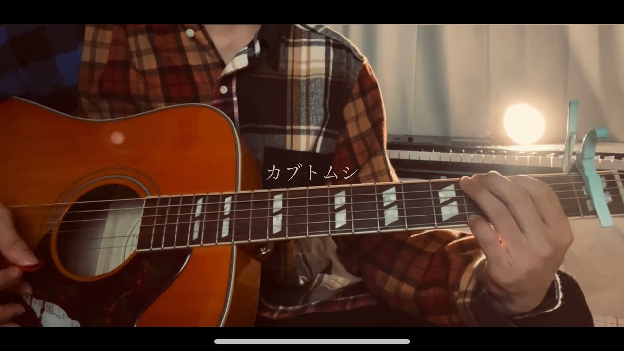 カブトムシ/aiko 弾き語りcover