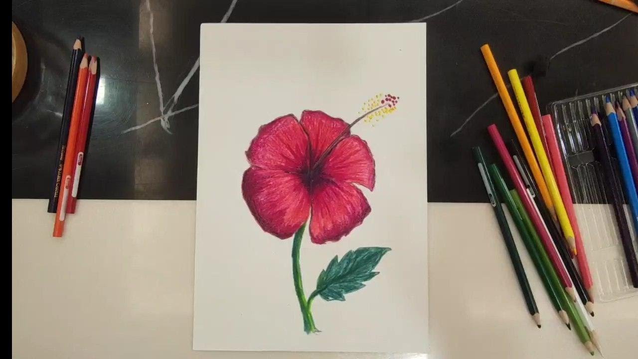Belajar lukis gambar bunga raya