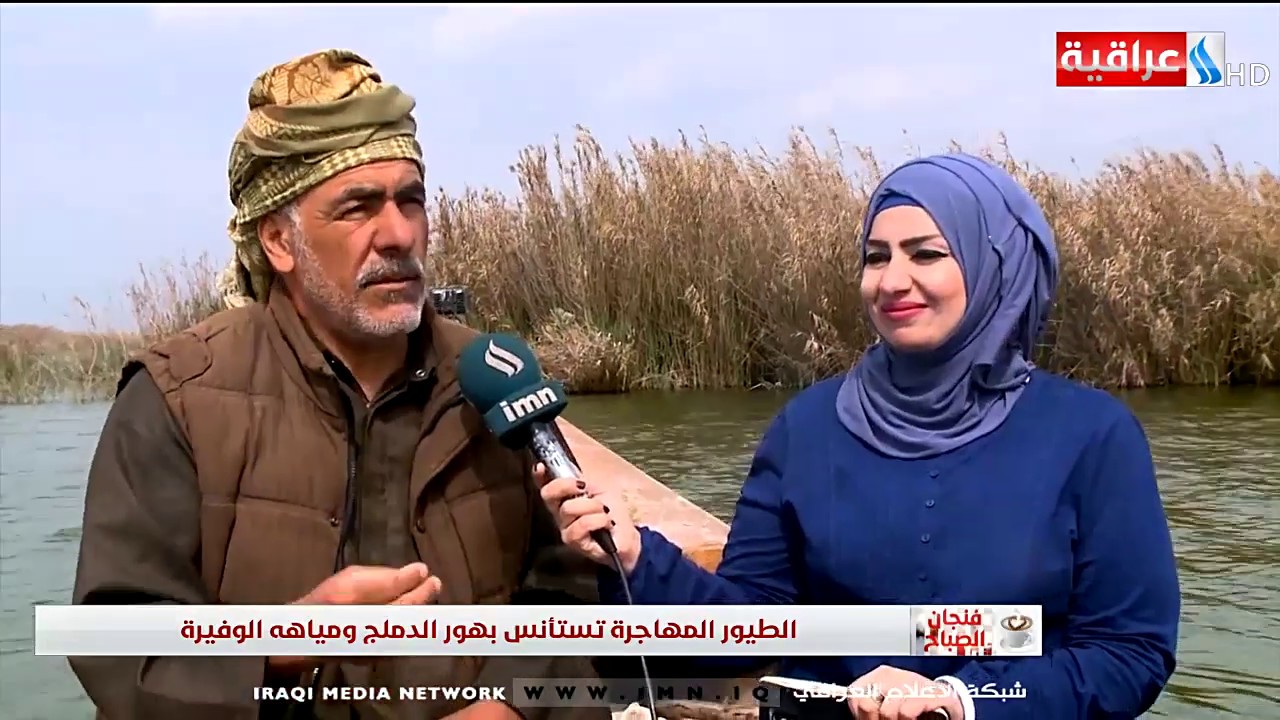 فنجان الصباح - الطيور المهاجرة تستأنس بهور الدملج ومياهه الوفيرة