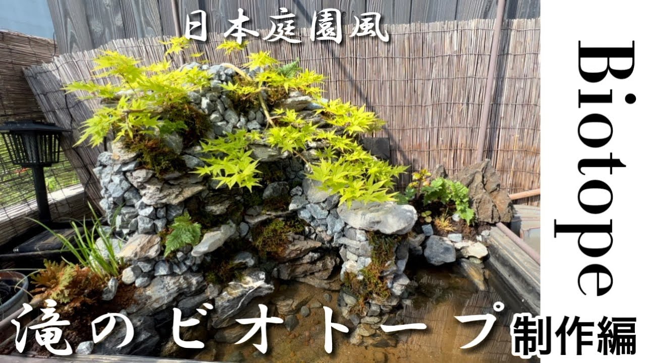 日本庭園風滝のビオトープ制作