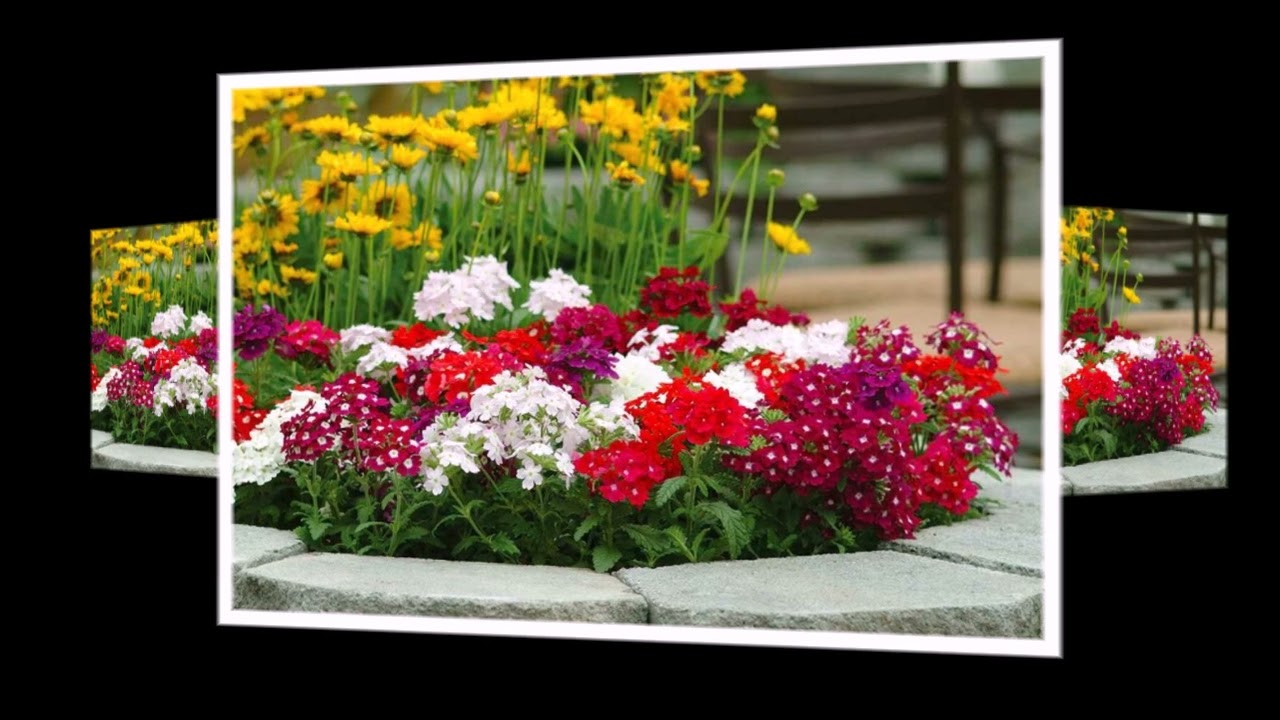 Тяжёлая ноша.