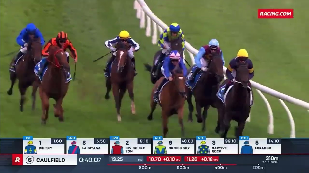 BIG SKY выигрывает скачки Chairman&rsquo;s Stakes (G3) в 2026 году.