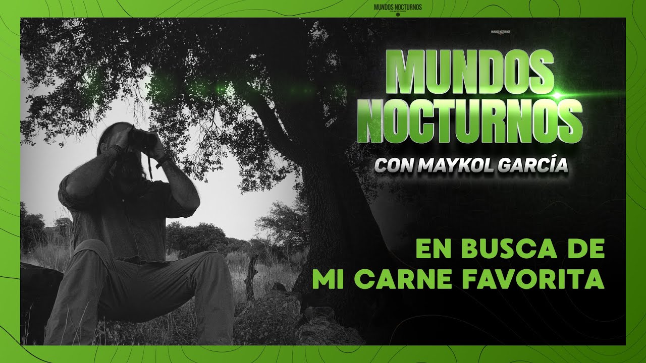 EN BUSCA DE MI CARNE FAVORITA