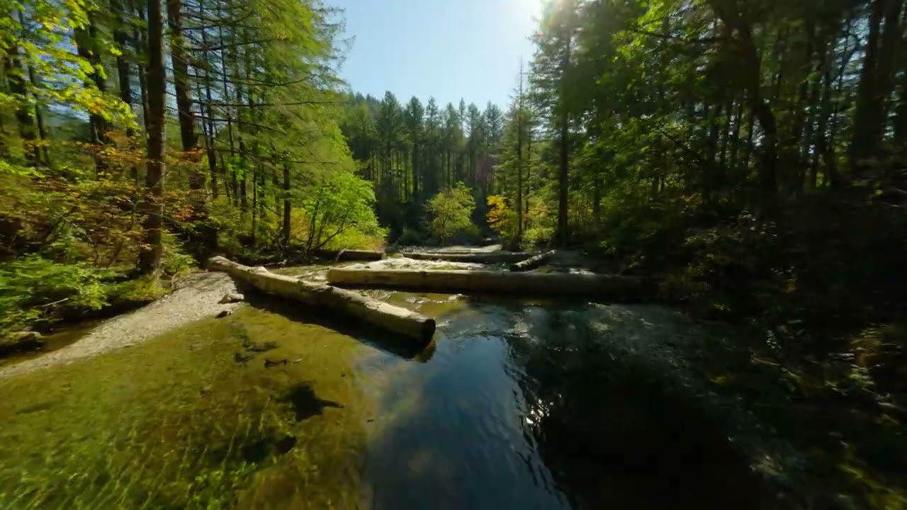 Dougan Falls and Creek, Oct. 8th 2023