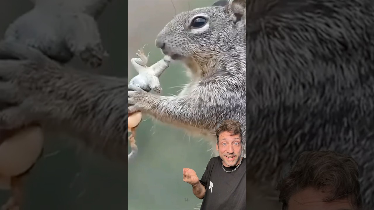 Хищные белки теперь в моде