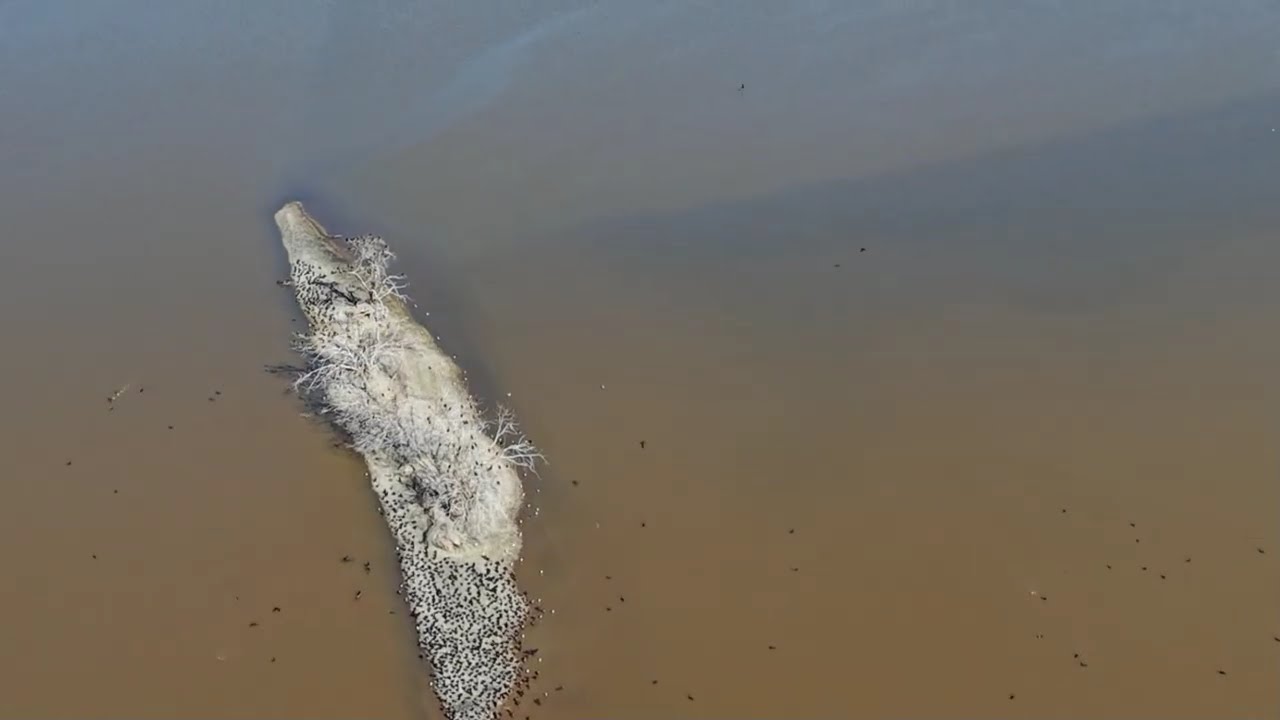 2026 Ceader Bluff 0113 dji5