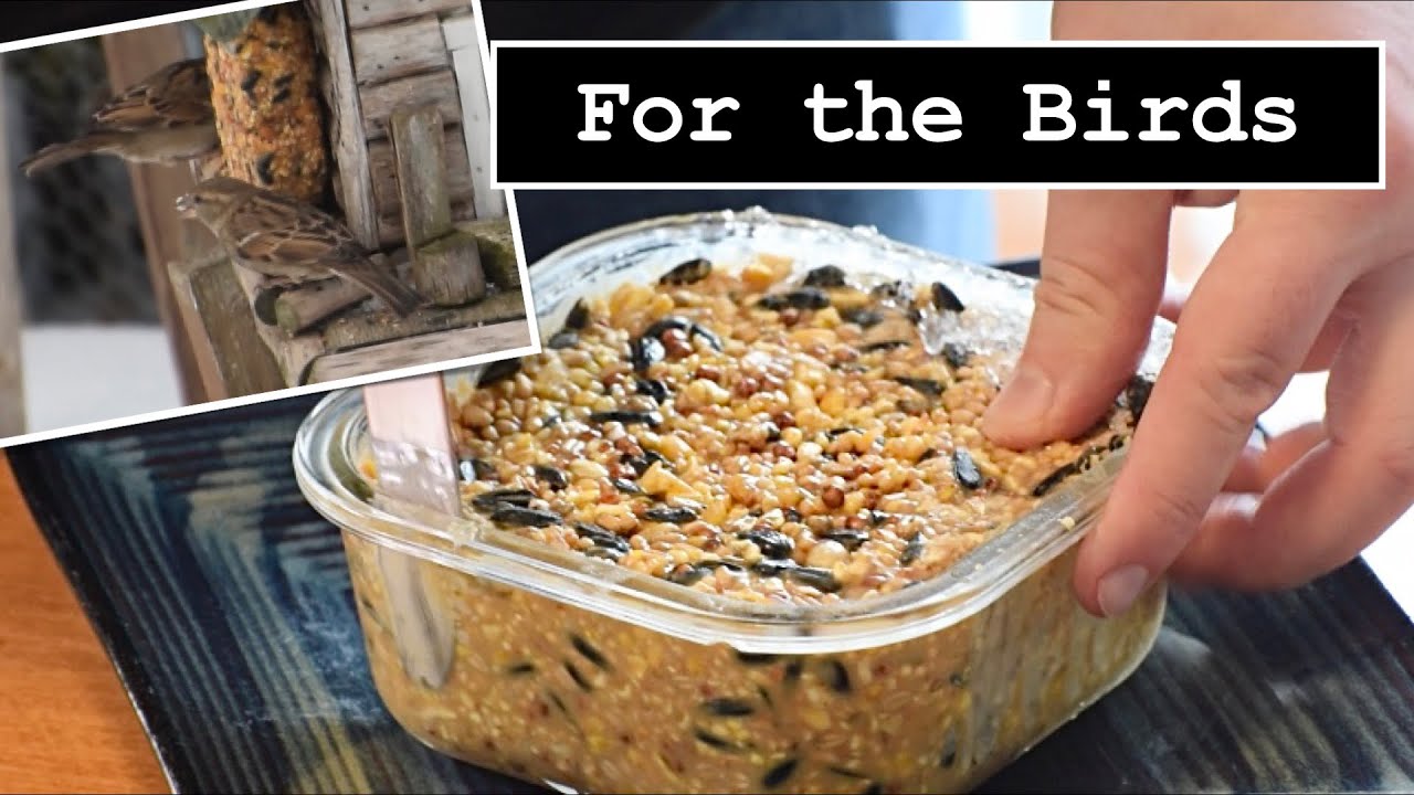 Homemade Birdseed Cakes | Backyard Birding
