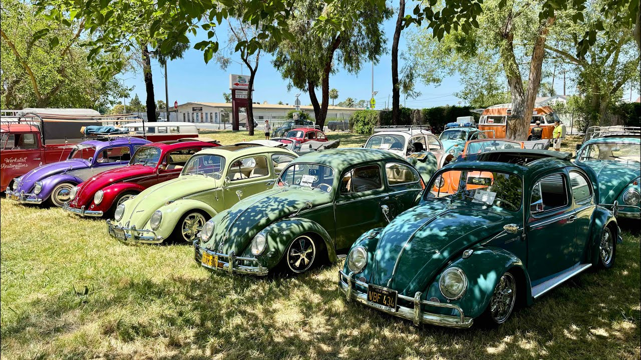Bug Bash 2024 — в этом году к нам пришло более 100 автомобилей.