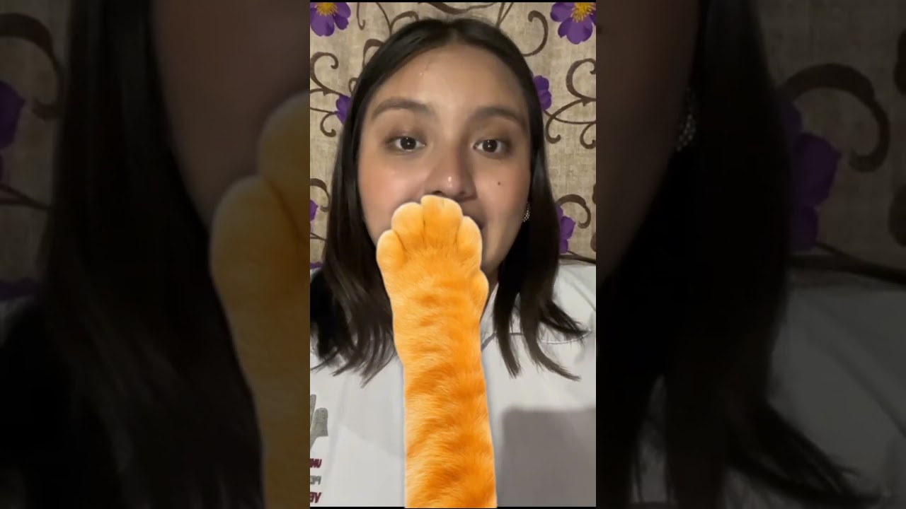 Presentación de la 