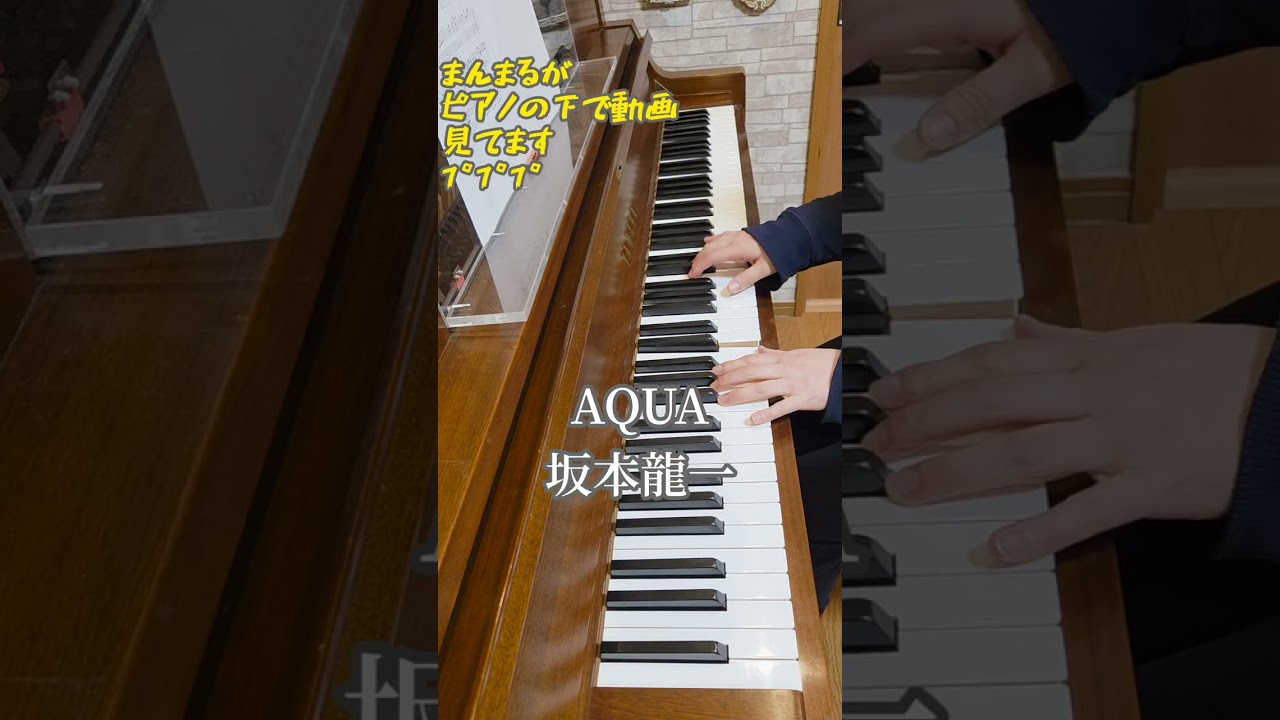 坂本龍一　星になった少年～AQUA　ピアノばばぁ　ピアノアレンジ