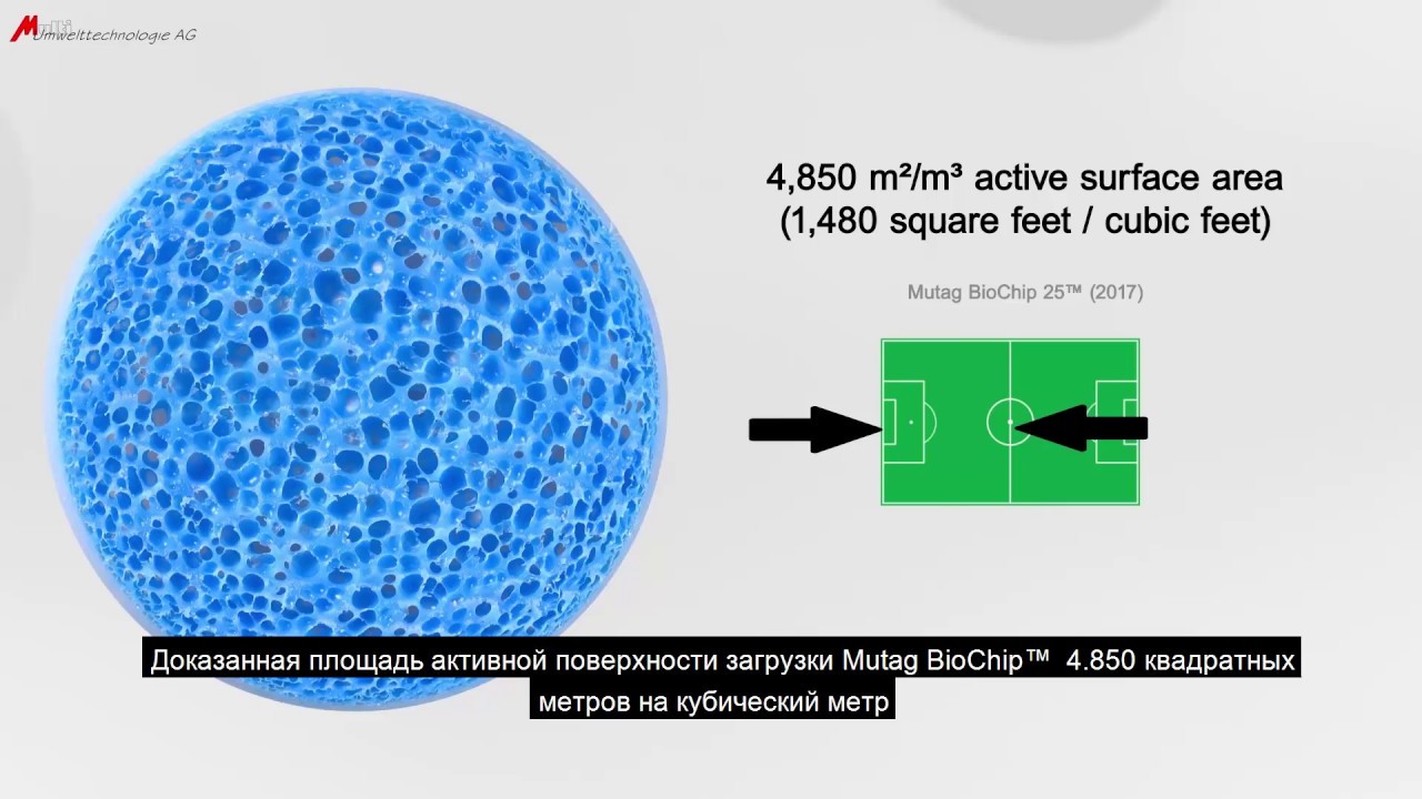 Mutag BioChip presentation and diffusion - RUSSIAN subtitles