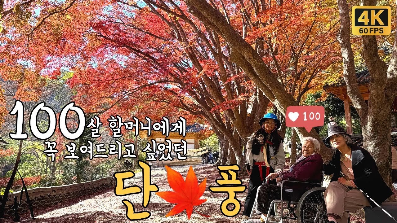 할머니👵에게 꼭 보여드리고 싶었던 단풍🍁나무가 있는 100대명산 | 고창 선운산 | 선운사 | 도솔암 | 인공폭포