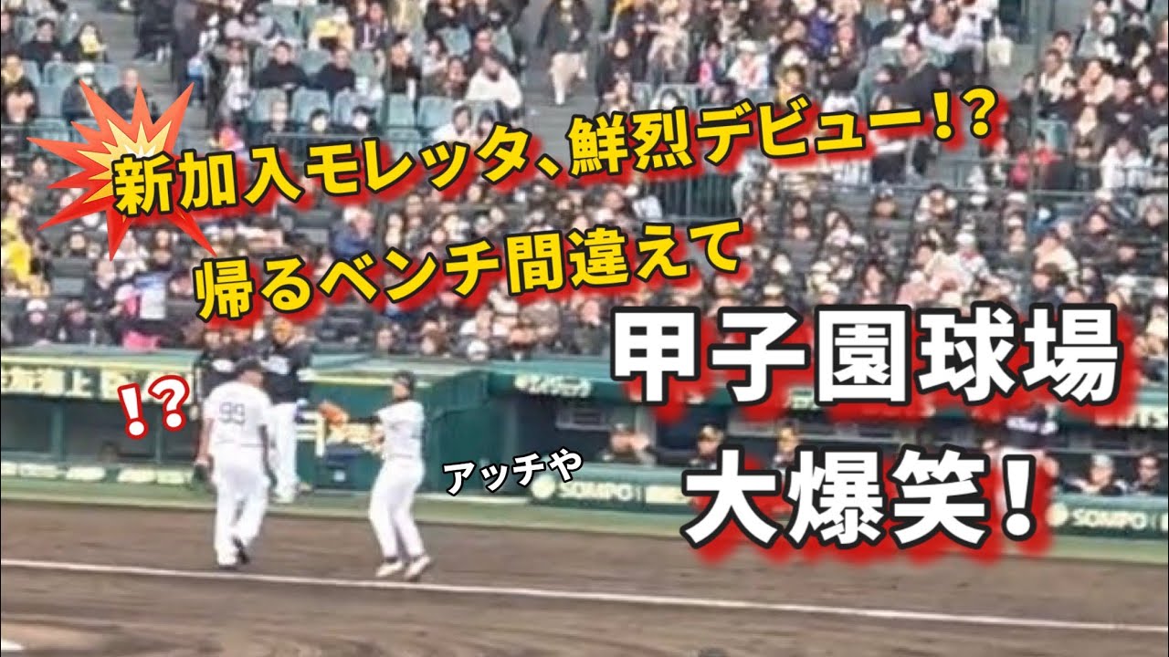 【現地映像】阪神モレッタ、帰るベンチ間違えて甲子園が大爆笑 #阪神タイガース