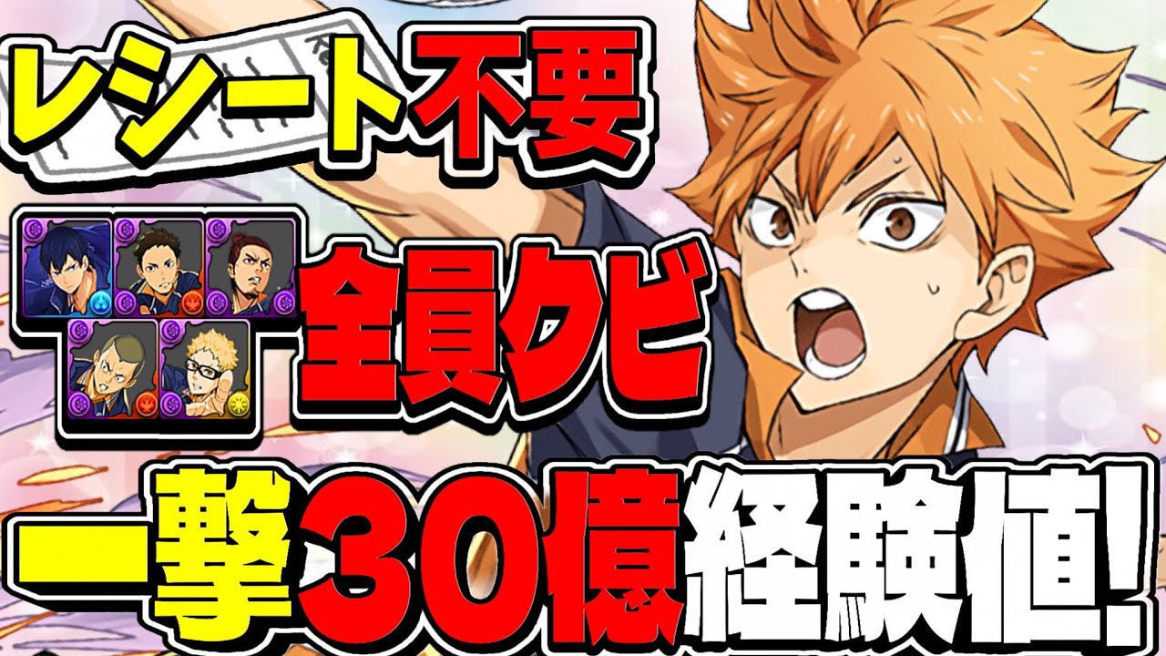 【革命】爆速一撃30億⁉︎ サブ全員ハイキュー抜きの日向編成が天才すぎた表十億【パズドラ】