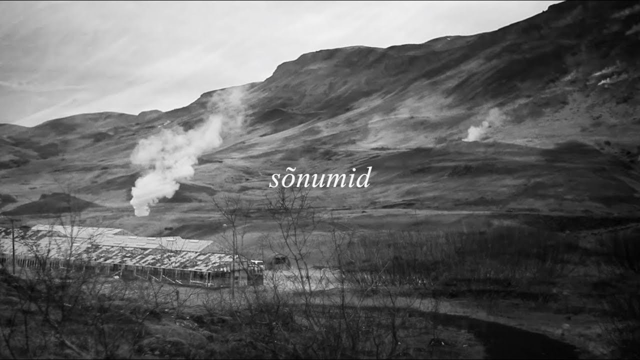 Mauno Meesit &middot; S&otilde;numid (feat. Allan Vainola)