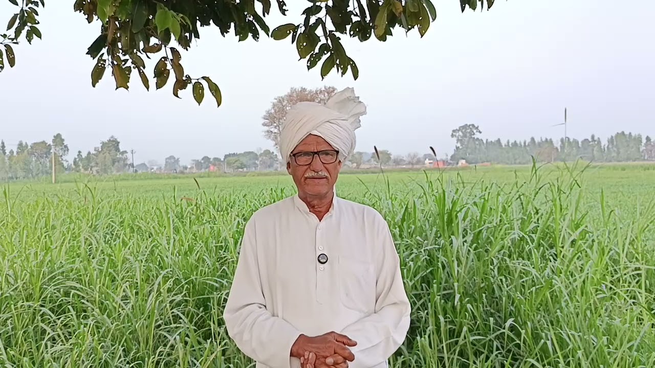 आज तक आपने सुना होगा बाराती पिटे अब भाती पिटे भात भरने से पहले ही भाग कर बचाई जान शराब का नतीजा