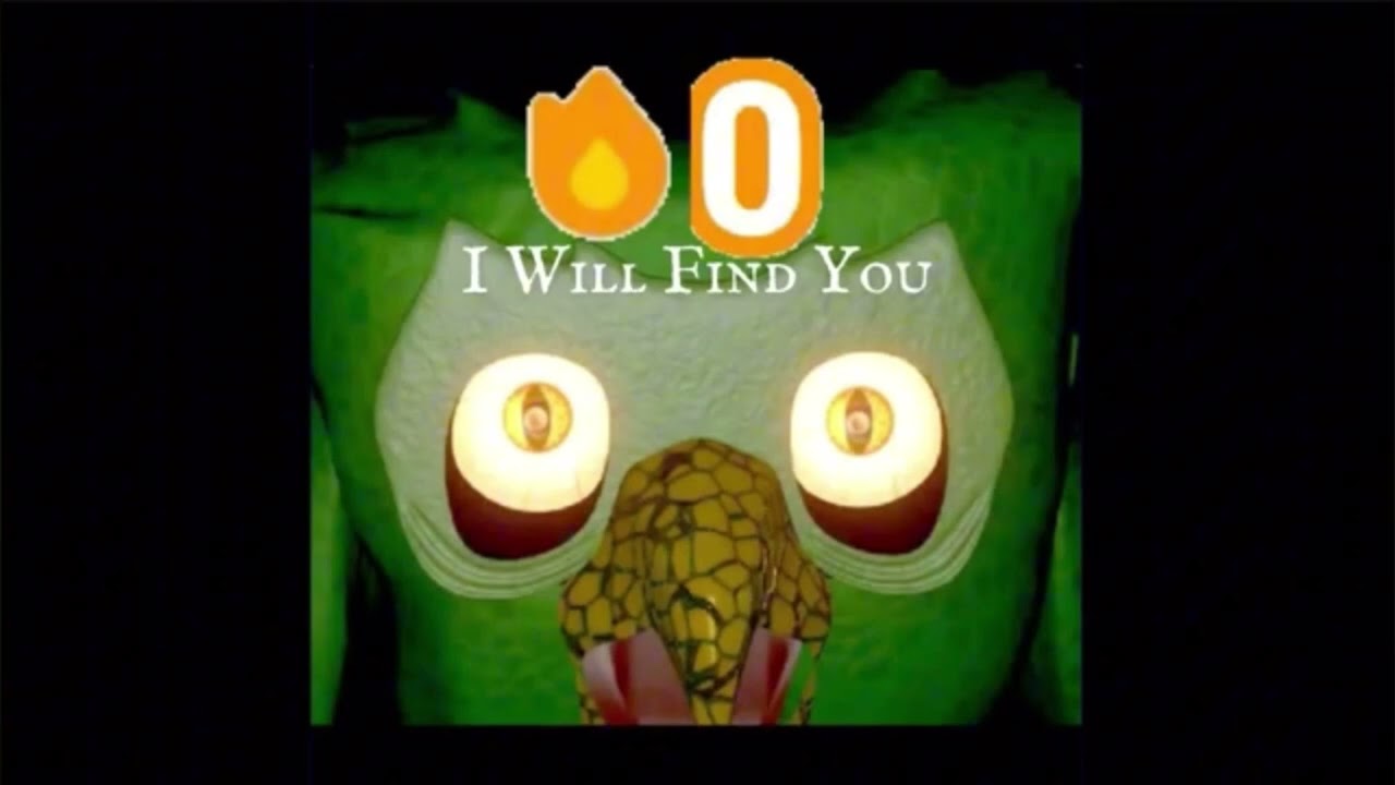 Duolingo widgets your new