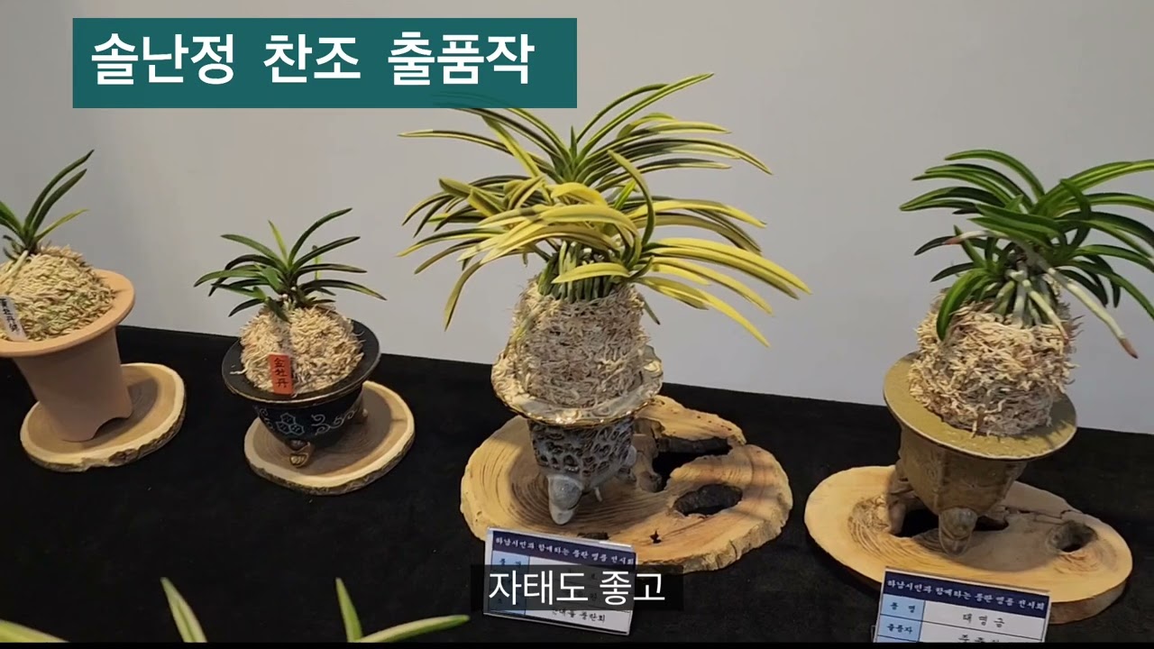하남 시민과 함께하는 제1회 풍란 명품 전시회 모습