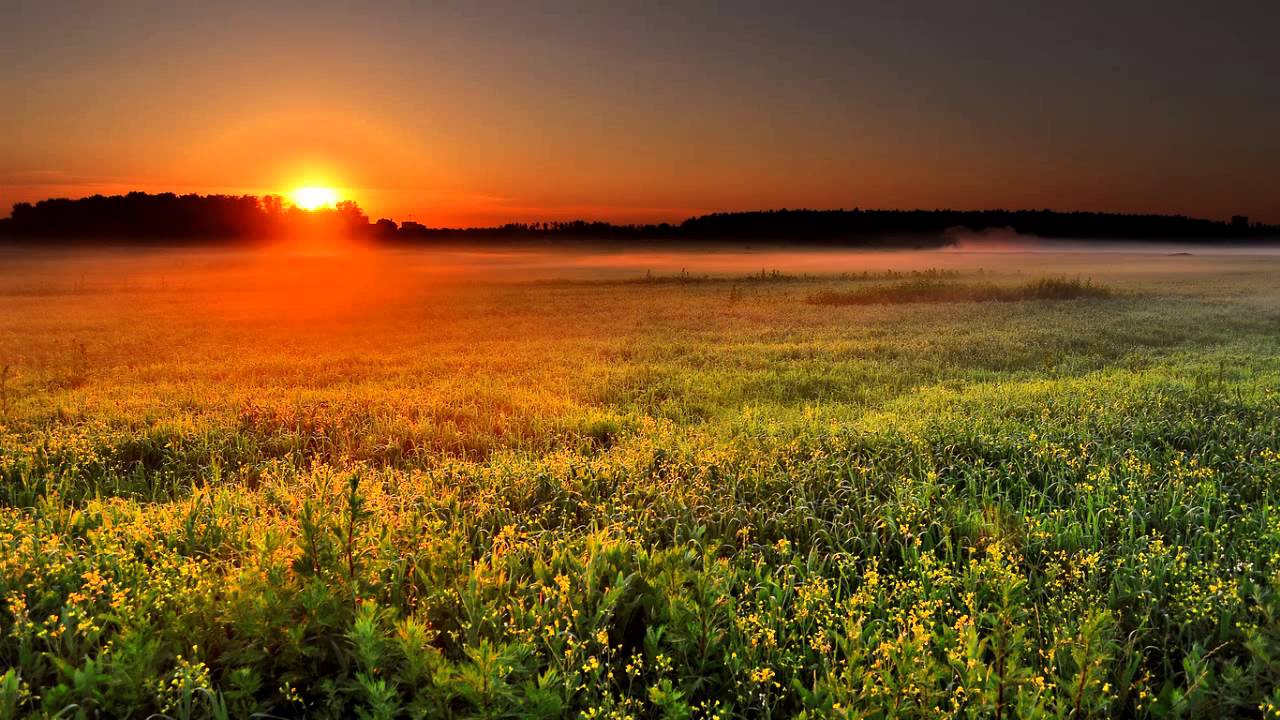 M. Mussorgsky - Alba (da 